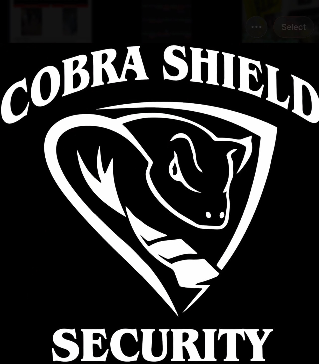 Cobra Shield Security
